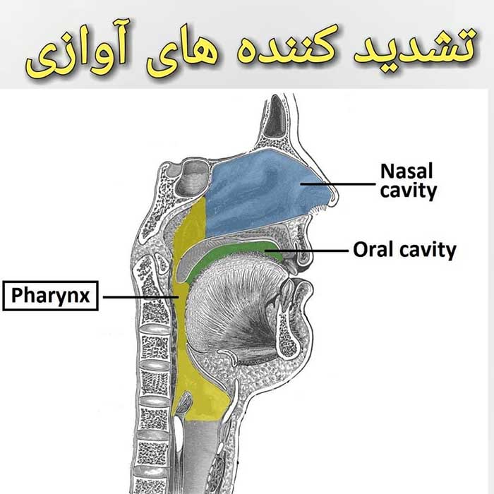 رزونانس در آواز